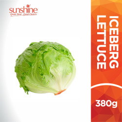 VEGE2FRESH ICEBERG LETTUCE 380GM VEGE2FRESH ICEBERG LETTUCE 380GM