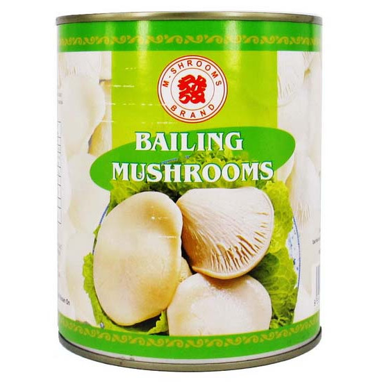 MS BRAND BAILING MUSHROOM 815GM