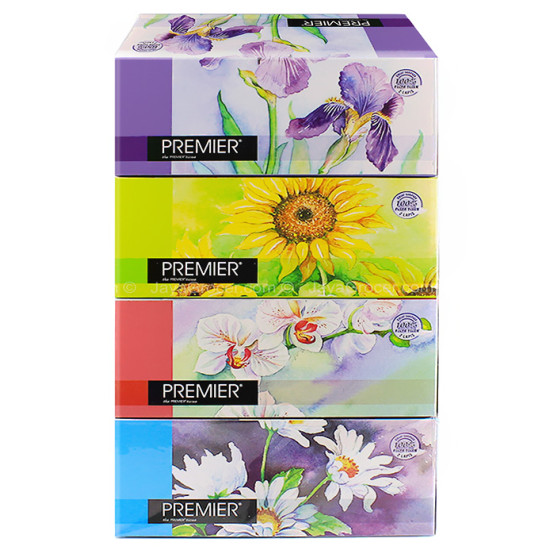 PREMIER NATURE FACIAL TISSUE 170S*4