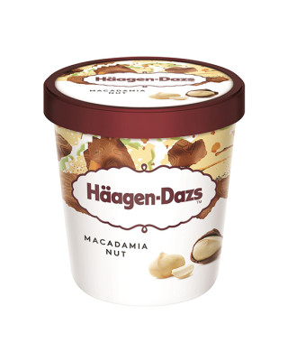 HAAGEN DAZS ICE CREAM MACADAMIA NUT 473ML