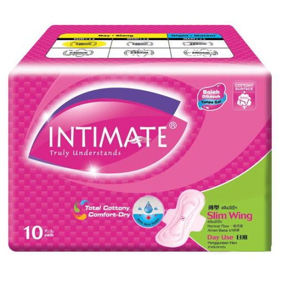 INTIMATE DAY SLIM WING 23CM (SF)8S