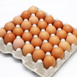 NUTRIPLUS EGG GRED C 30S NUTRIPLUS EGG GRED C 30S