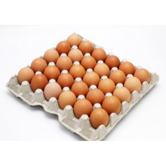 NUTRIPLUS EGG GRED C 30S