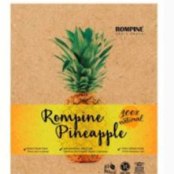 ROMPINE DEHYDRATE SNACK PINEAPPLE ROMPINE DEHYDRATE SNACK PINEAPPLE