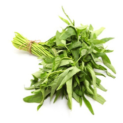 SUNSHINE FRESH CHOICE KANGKONG 300GM SUNSHINE FRESH CHOICE KANGKONG 300GM