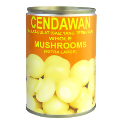 SUNFLOWER MUSHROOM (ELC) 425GM SUNFLOWER MUSHROOM (ELC) 425GM