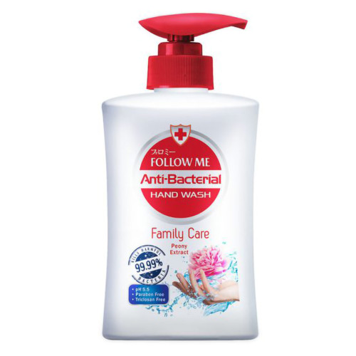 FOLLOW ME ANTI-BACTERIAL
HAND WASH FAMILY CARE 450
