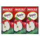 MARIGOLD APPLE FRUIT DRINK 250ML*6*4